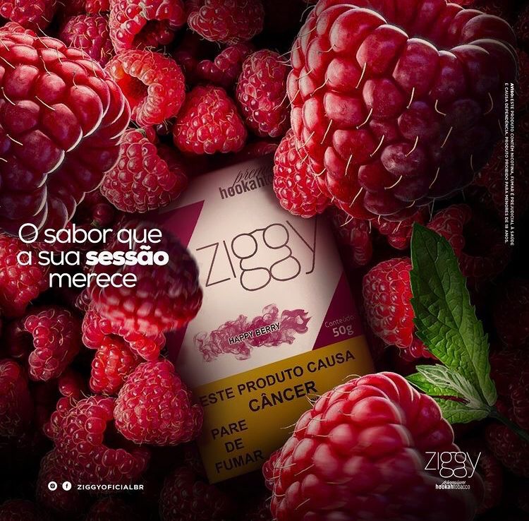 ZIGGY BERRY alternate