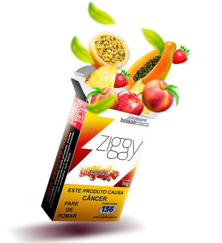 ZIGGY TROPICAL alternate