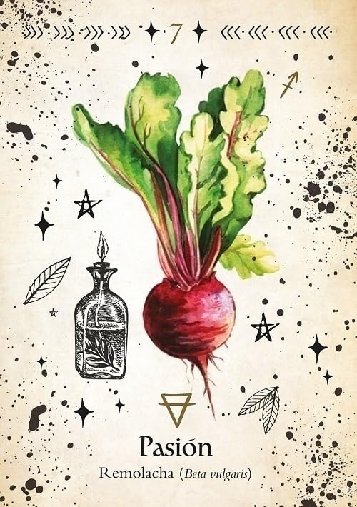 Oráculo Bruja Verde Cheralyn Darcey - 4