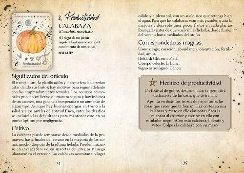 Oráculo Bruja Verde Cheralyn Darcey - 5