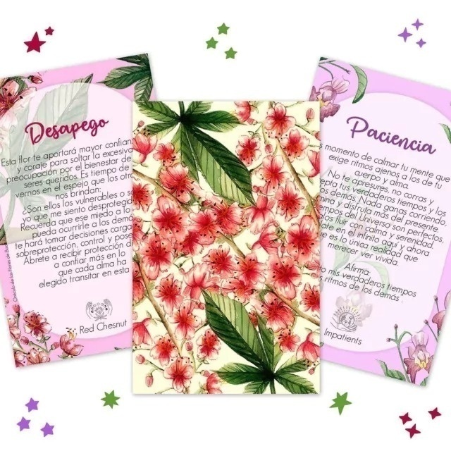 Oráculo de Sanación Flores de Bach - 3